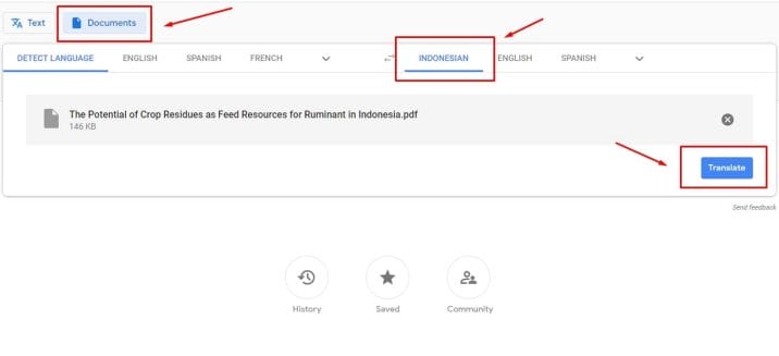 translate-dokumen-pdf