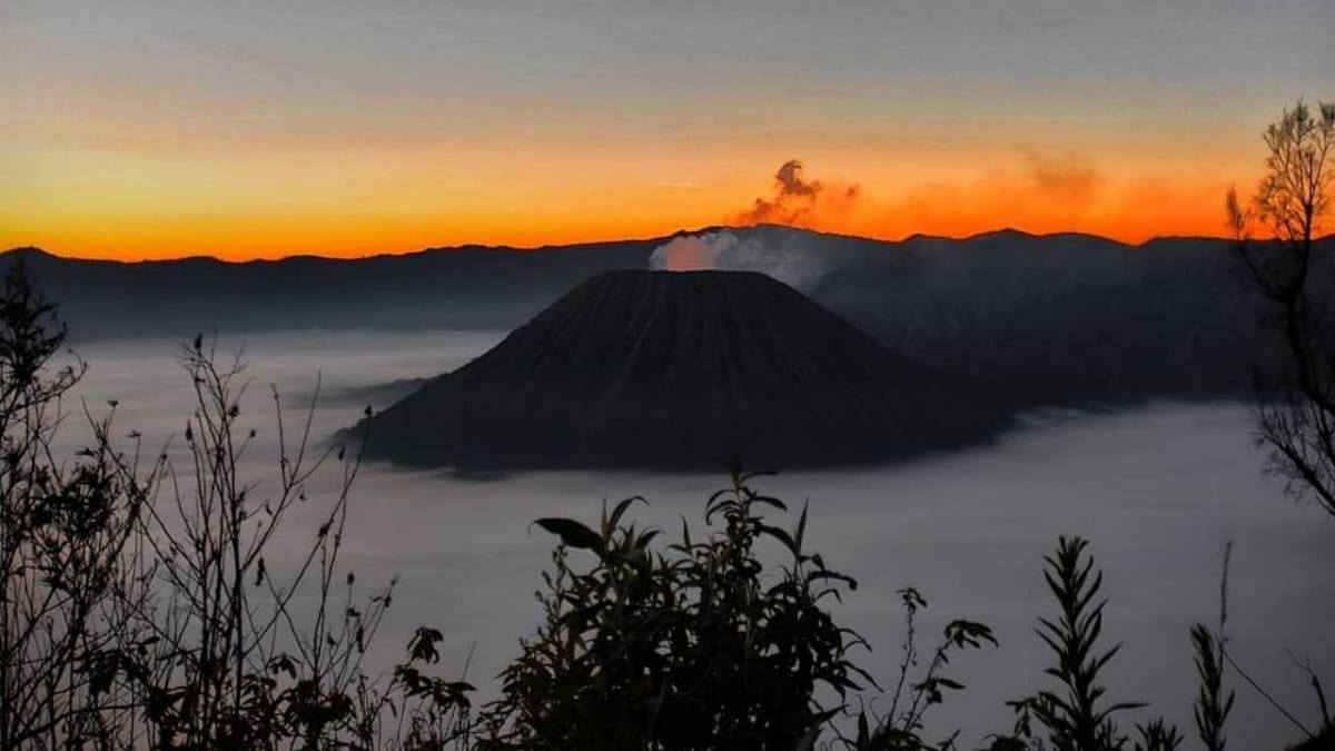 gunung bromo wisata alam di malang