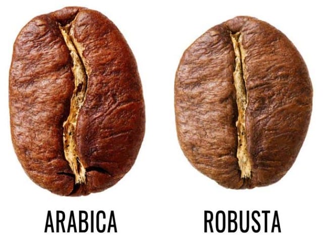 keunggulan kopi robusta
